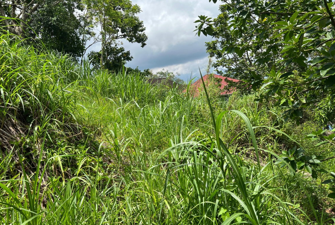 Nineteenth image of 30 Greys Hill, Mandeville in Mandeville, Manchester, Jamaica - property is For Sale