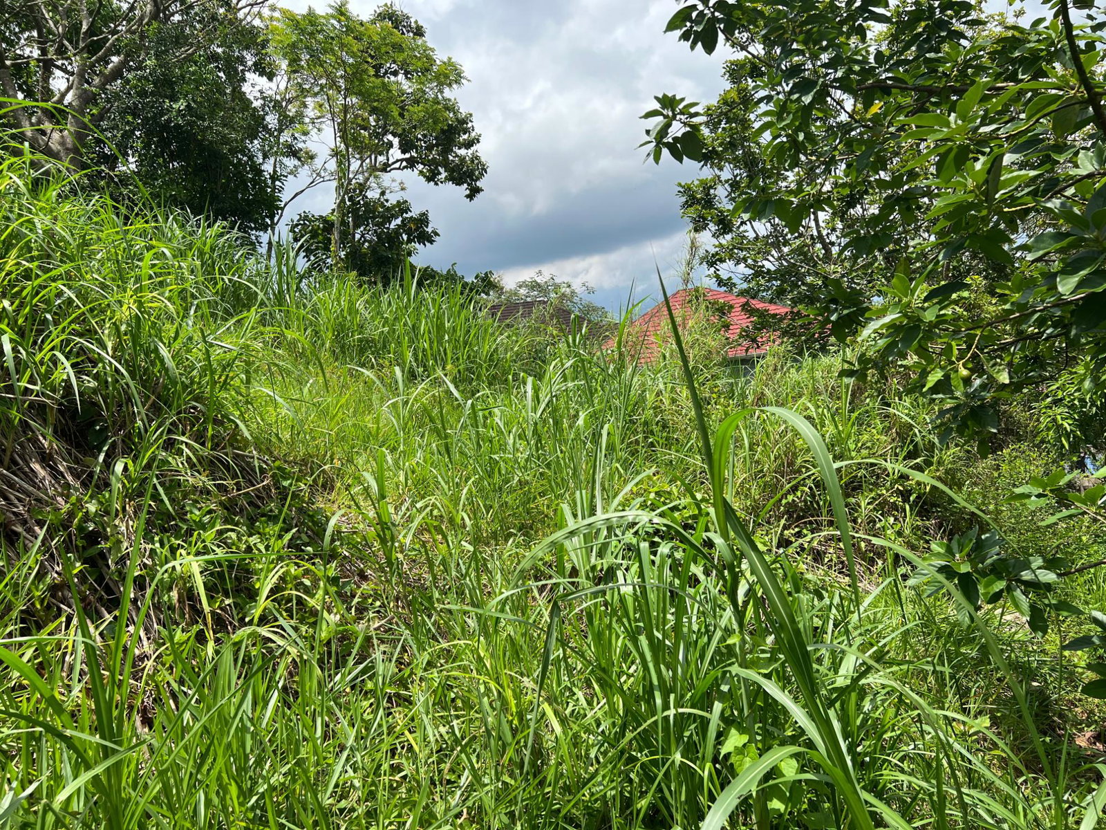 Nineteenth image of 30 Greys Hill, Mandeville in Mandeville, Manchester, Jamaica - property is For Sale