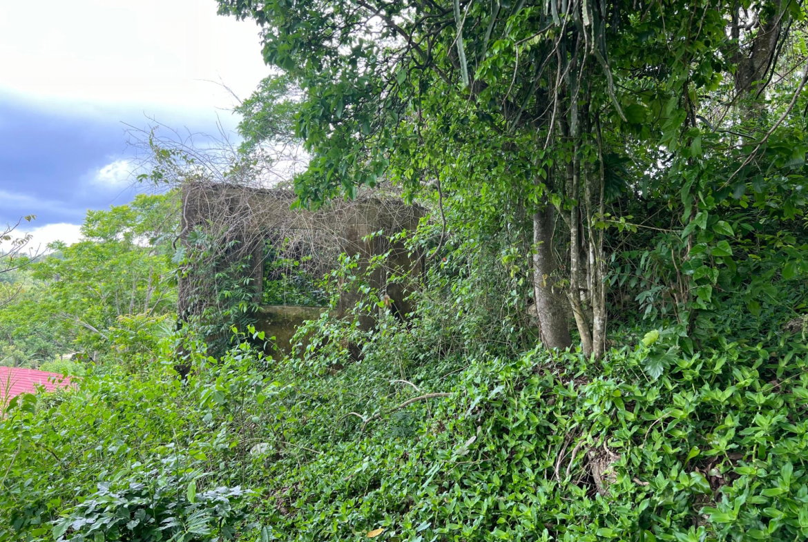 Twentieth image of 30 Greys Hill, Mandeville in Mandeville, Manchester, Jamaica - property is For Sale