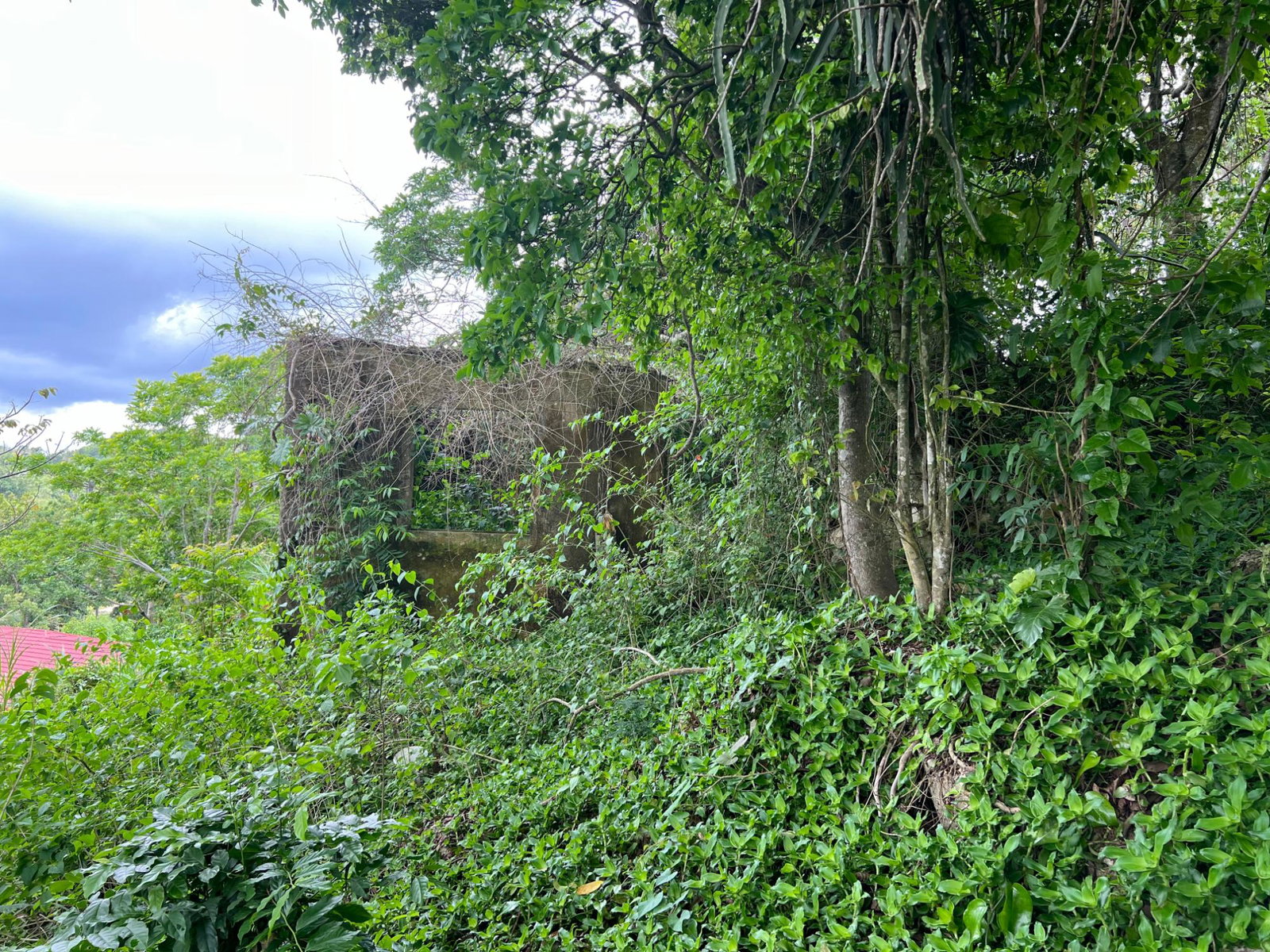 Twentieth image of 30 Greys Hill, Mandeville in Mandeville, Manchester, Jamaica - property is For Sale