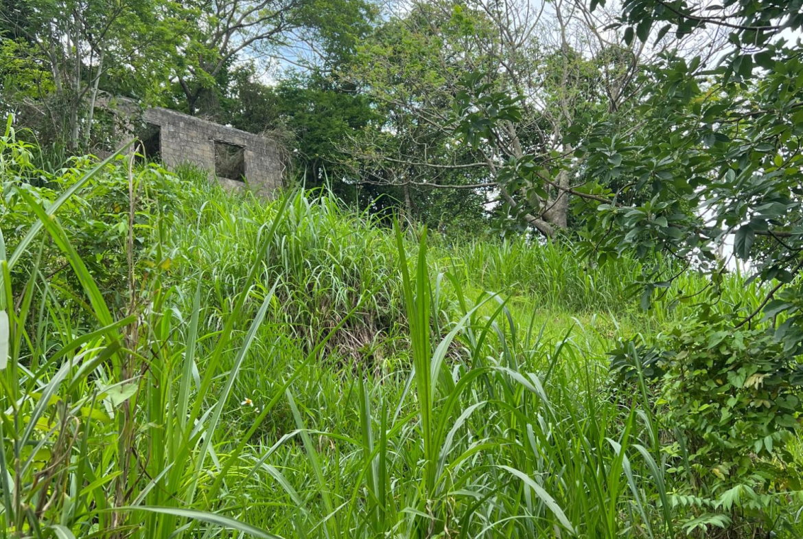 Third image of 30 Greys Hill, Mandeville in Mandeville, Manchester, Jamaica - property is For Sale
