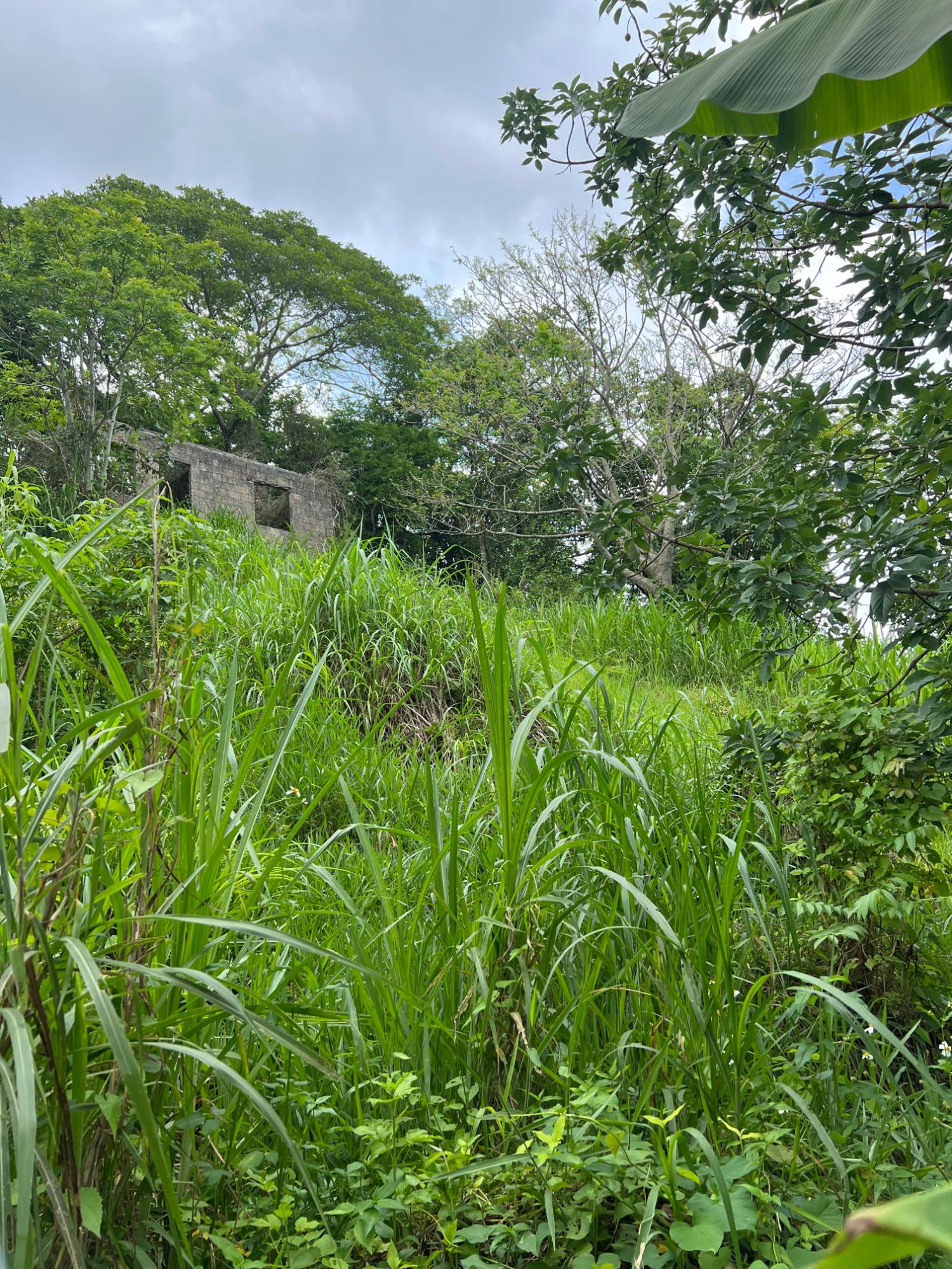 Third image of 30 Greys Hill, Mandeville in Mandeville, Manchester, Jamaica - property is For Sale