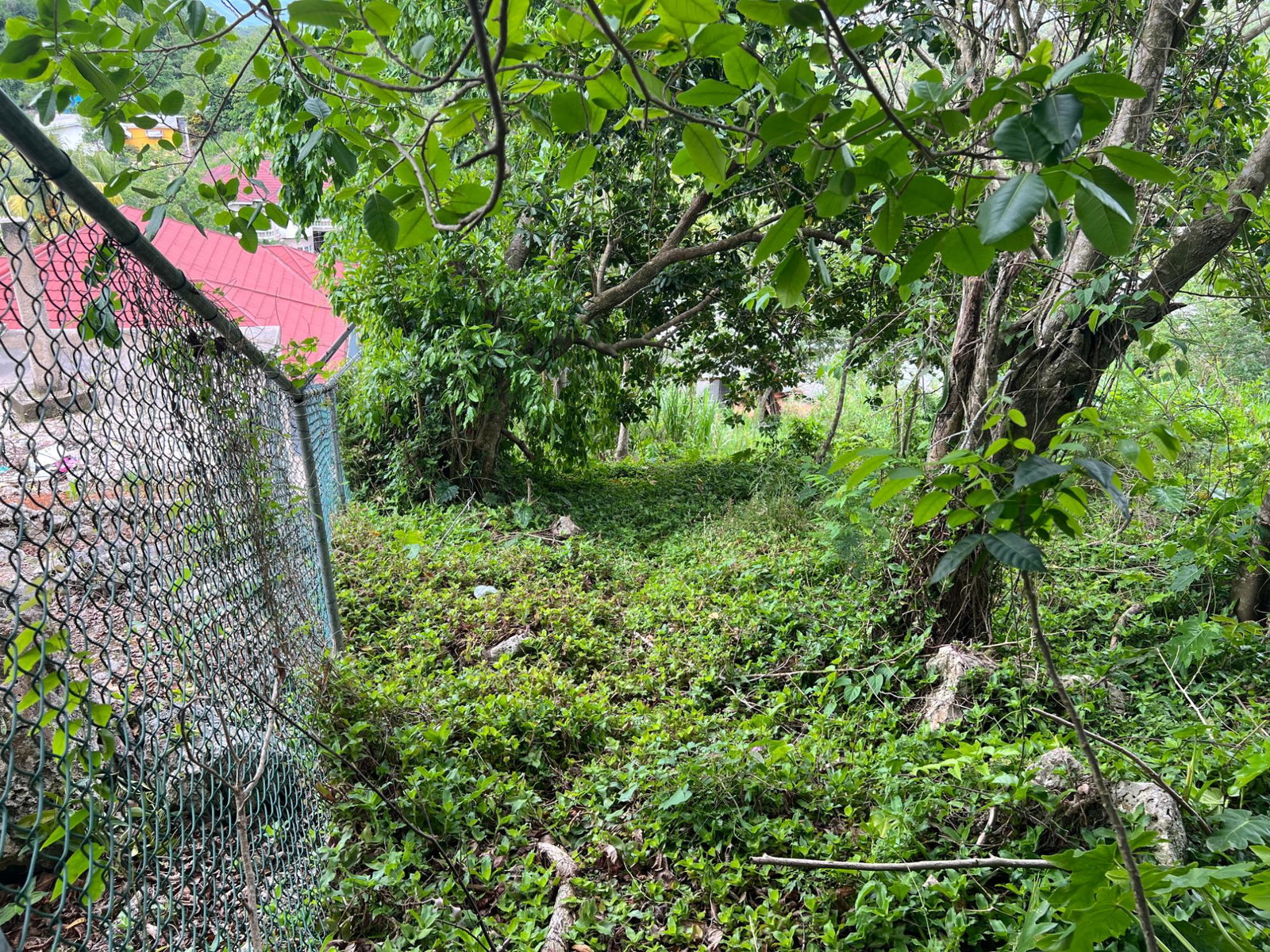 Twenty-First image of 30 Greys Hill, Mandeville in Mandeville, Manchester, Jamaica - property is For Sale