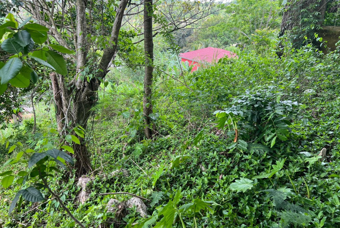 Twenty-Second image of 30 Greys Hill, Mandeville in Mandeville, Manchester, Jamaica - property is For Sale