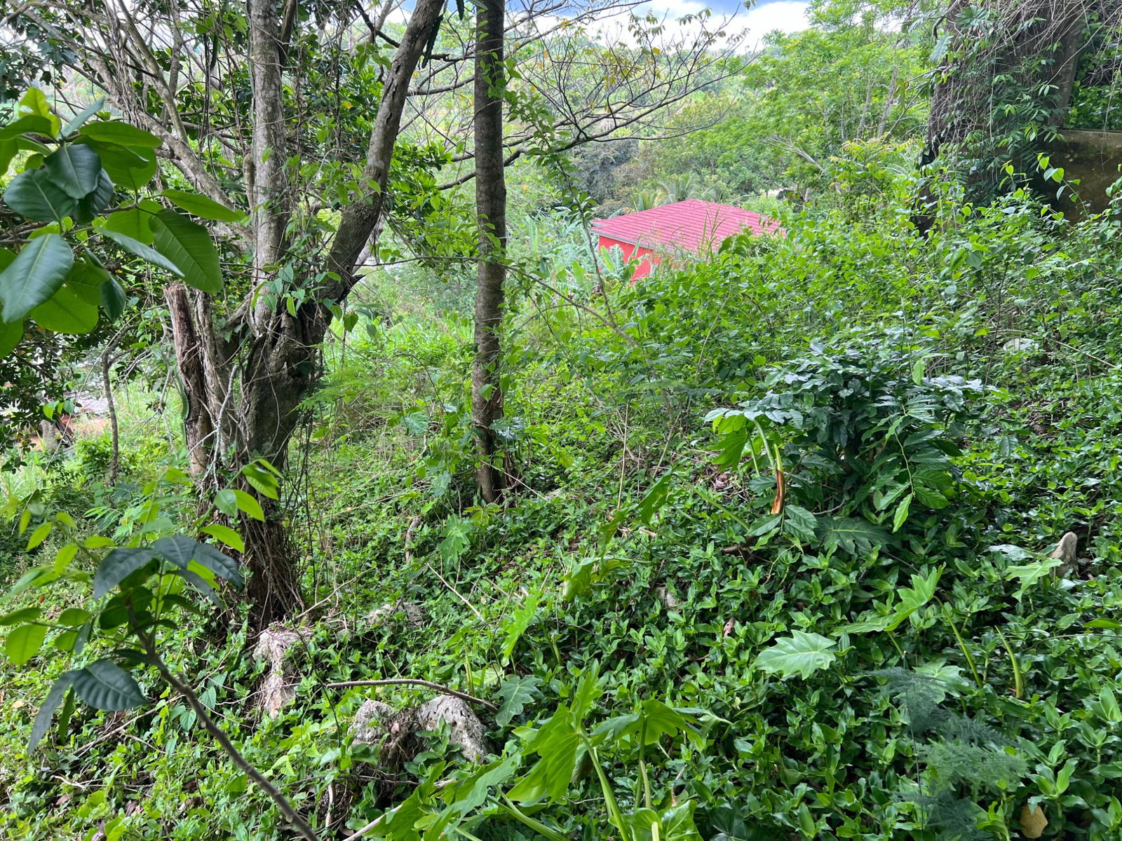 Twenty-Second image of 30 Greys Hill, Mandeville in Mandeville, Manchester, Jamaica - property is For Sale