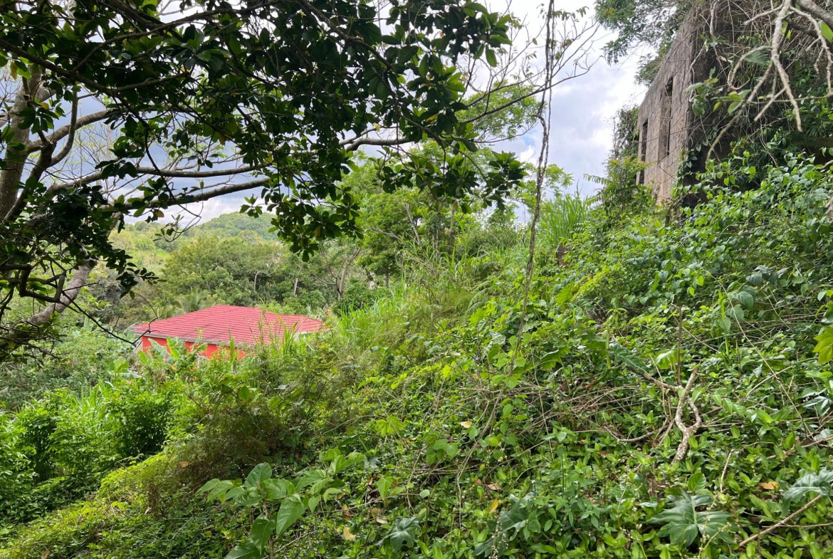 Twenty-Third image of 30 Greys Hill, Mandeville in Mandeville, Manchester, Jamaica - property is For Sale
