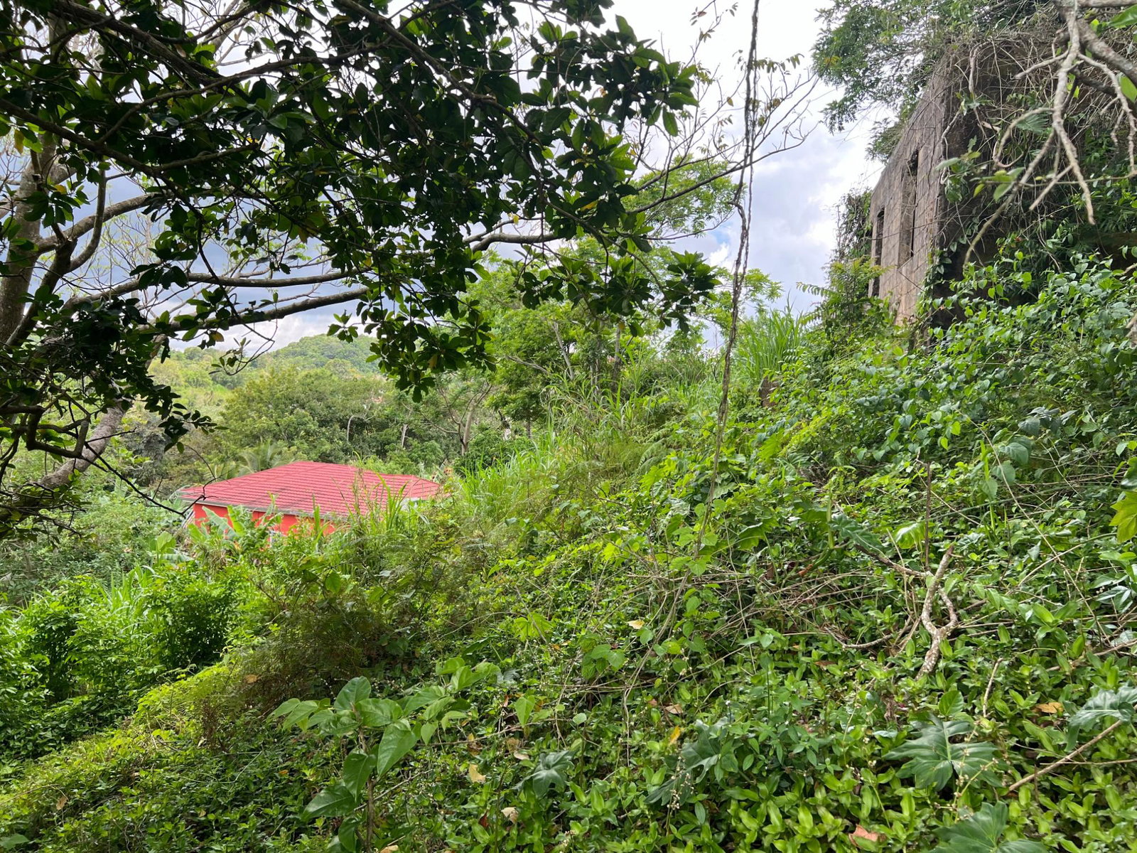 Twenty-Third image of 30 Greys Hill, Mandeville in Mandeville, Manchester, Jamaica - property is For Sale