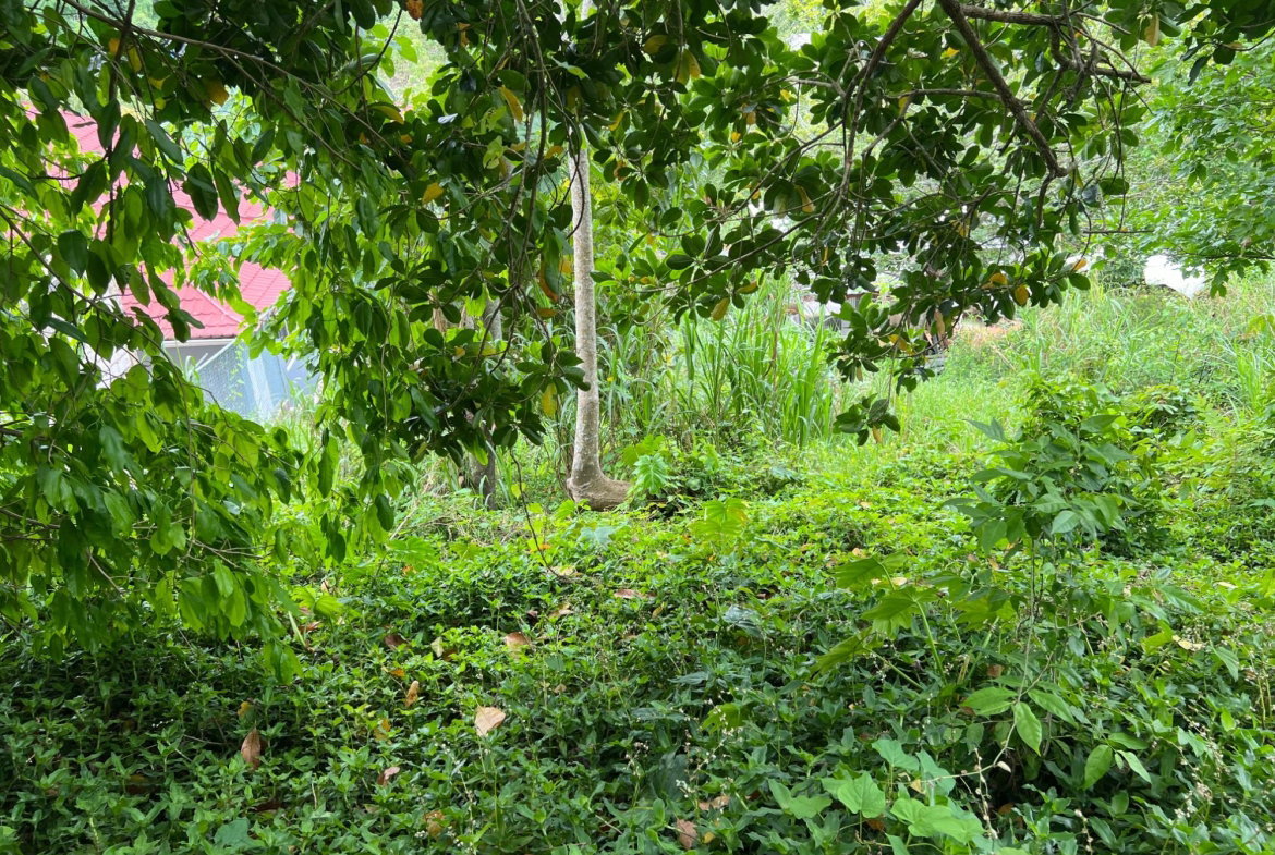 Twenty-Fourth image of 30 Greys Hill, Mandeville in Mandeville, Manchester, Jamaica - property is For Sale