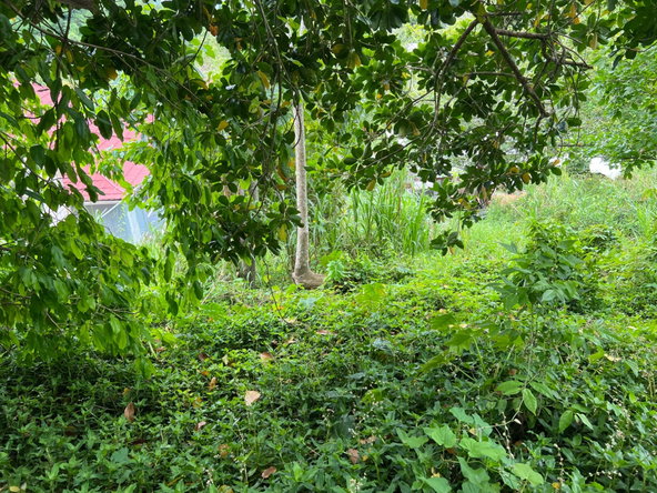 Twenty-Fourth image of 30 Greys Hill, Mandeville in Mandeville, Manchester, Jamaica - property is For Sale