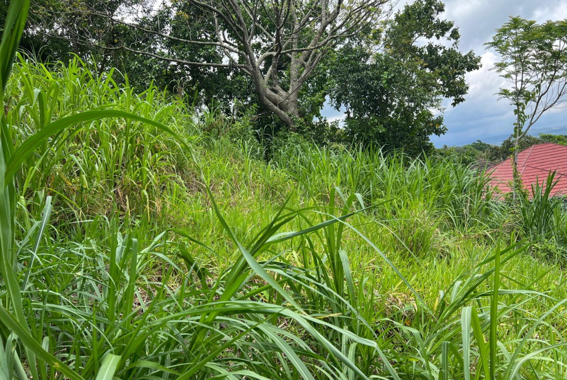 Twenty-Fifth image of 30 Greys Hill, Mandeville in Mandeville, Manchester, Jamaica - property is For Sale