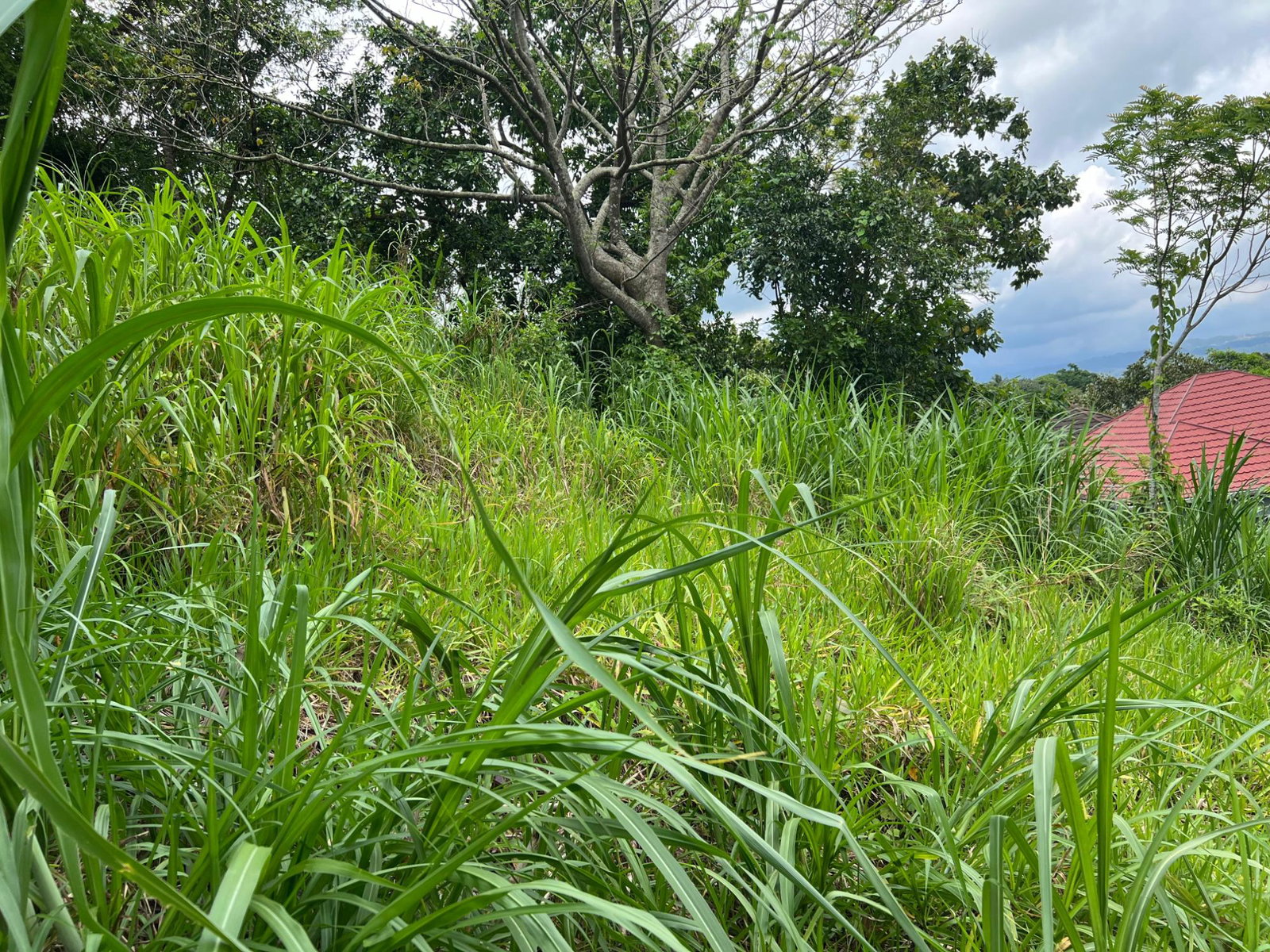 Twenty-Fifth image of 30 Greys Hill, Mandeville in Mandeville, Manchester, Jamaica - property is For Sale