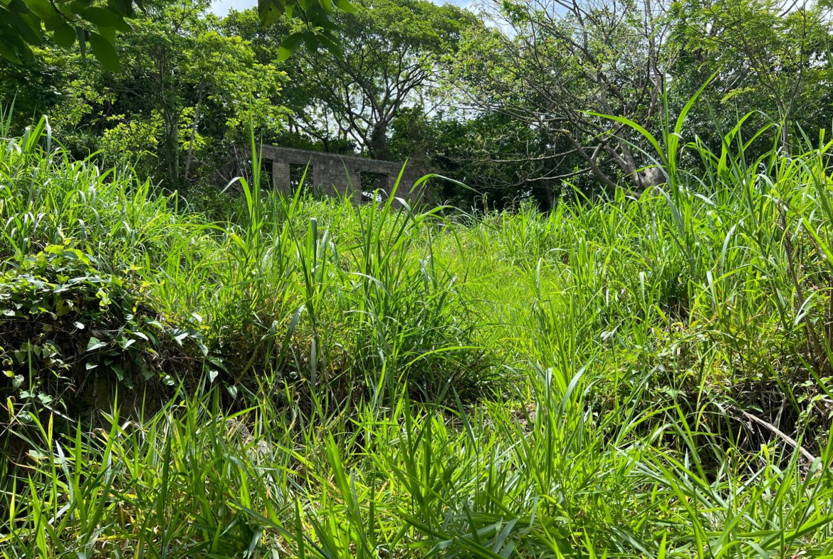 Twenty-Seventh image of 30 Greys Hill, Mandeville in Mandeville, Manchester, Jamaica - property is For Sale