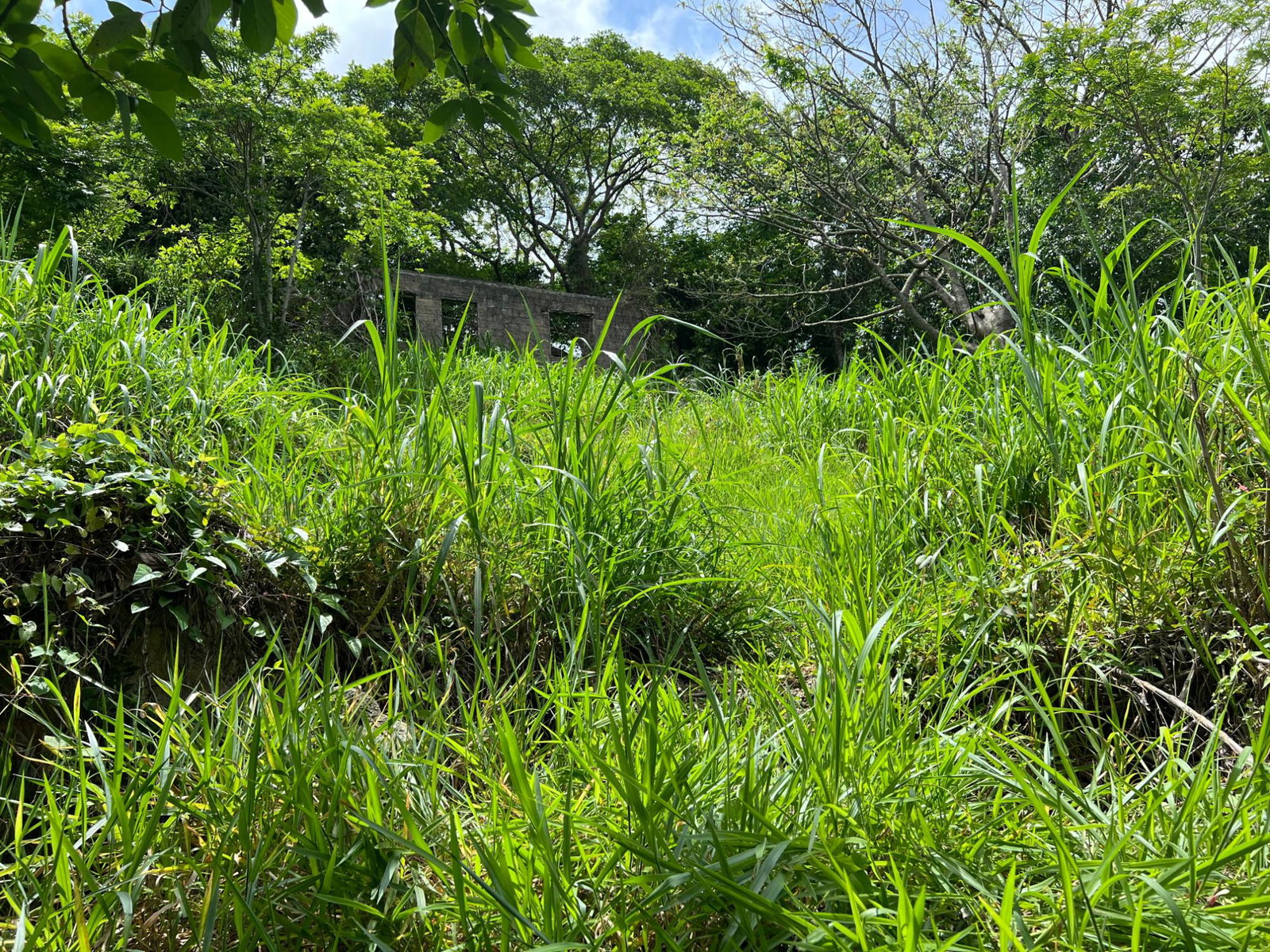 Twenty-Seventh image of 30 Greys Hill, Mandeville in Mandeville, Manchester, Jamaica - property is For Sale