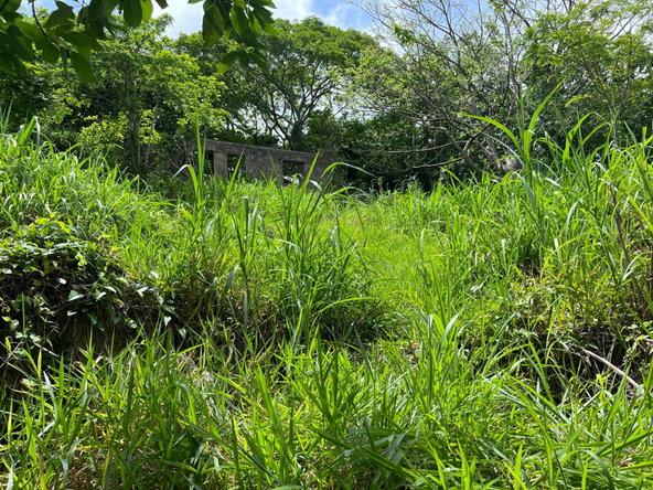 Twenty-Seventh image of 30 Greys Hill, Mandeville in Mandeville, Manchester, Jamaica - property is For Sale