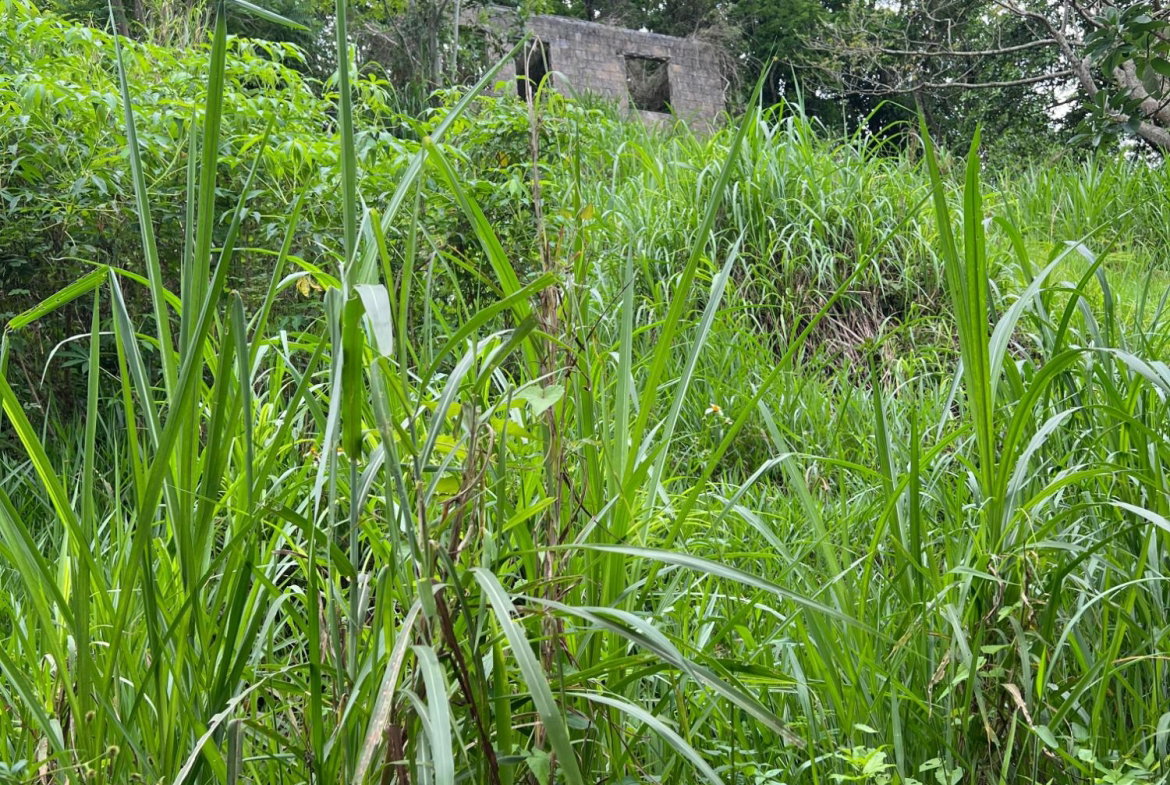 Fourth image of 30 Greys Hill, Mandeville in Mandeville, Manchester, Jamaica - property is For Sale