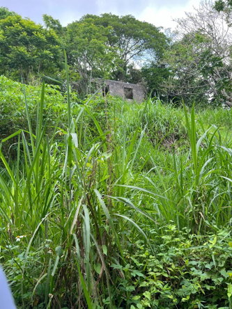 Fourth image of 30 Greys Hill, Mandeville in Mandeville, Manchester, Jamaica - property is For Sale