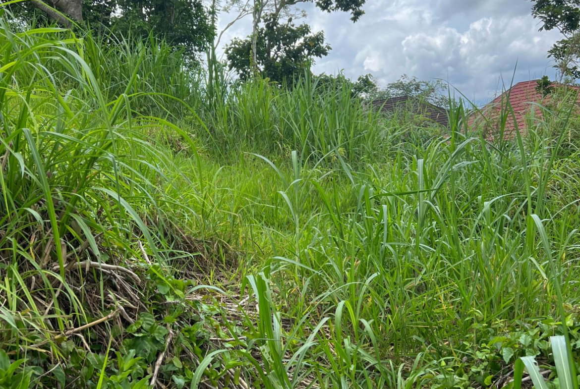 Fifth image of 30 Greys Hill, Mandeville in Mandeville, Manchester, Jamaica - property is For Sale