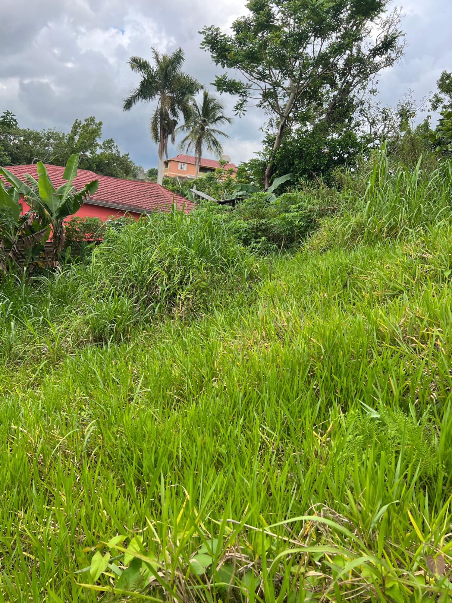 Sixth image of 30 Greys Hill, Mandeville in Mandeville, Manchester, Jamaica - property is For Sale