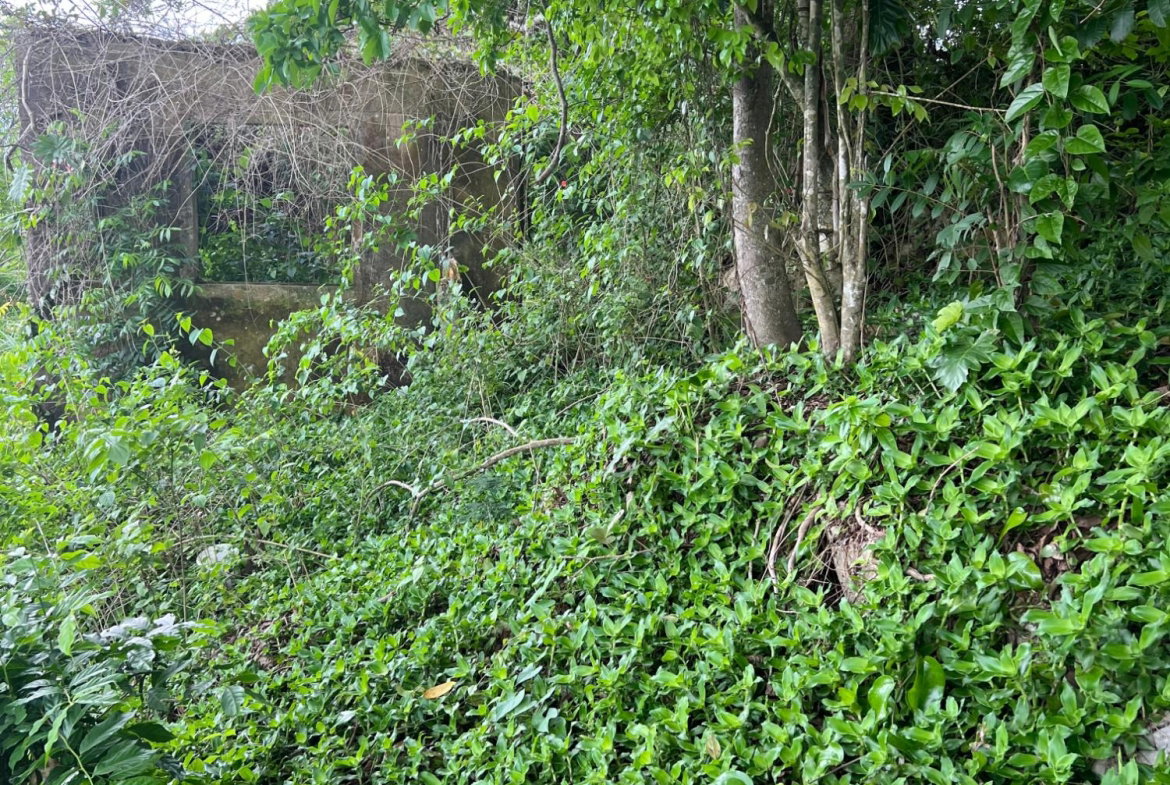 Seventh image of 30 Greys Hill, Mandeville in Mandeville, Manchester, Jamaica - property is For Sale