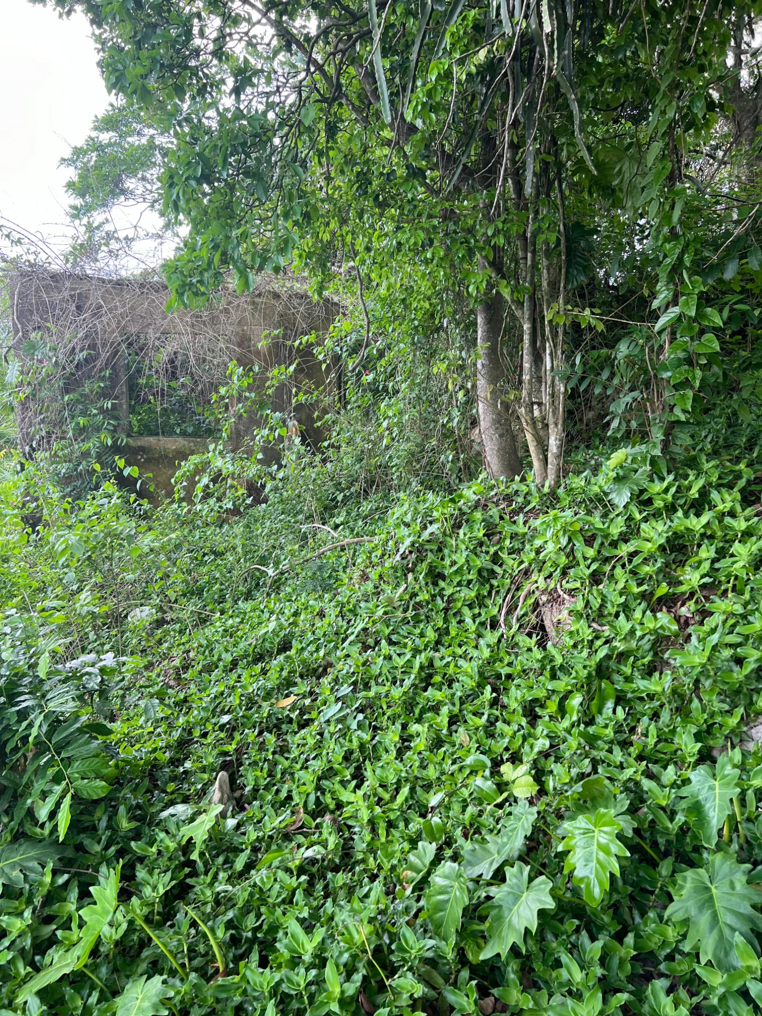 Seventh image of 30 Greys Hill, Mandeville in Mandeville, Manchester, Jamaica - property is For Sale