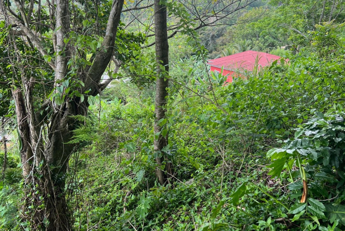 Eighth image of 30 Greys Hill, Mandeville in Mandeville, Manchester, Jamaica - property is For Sale