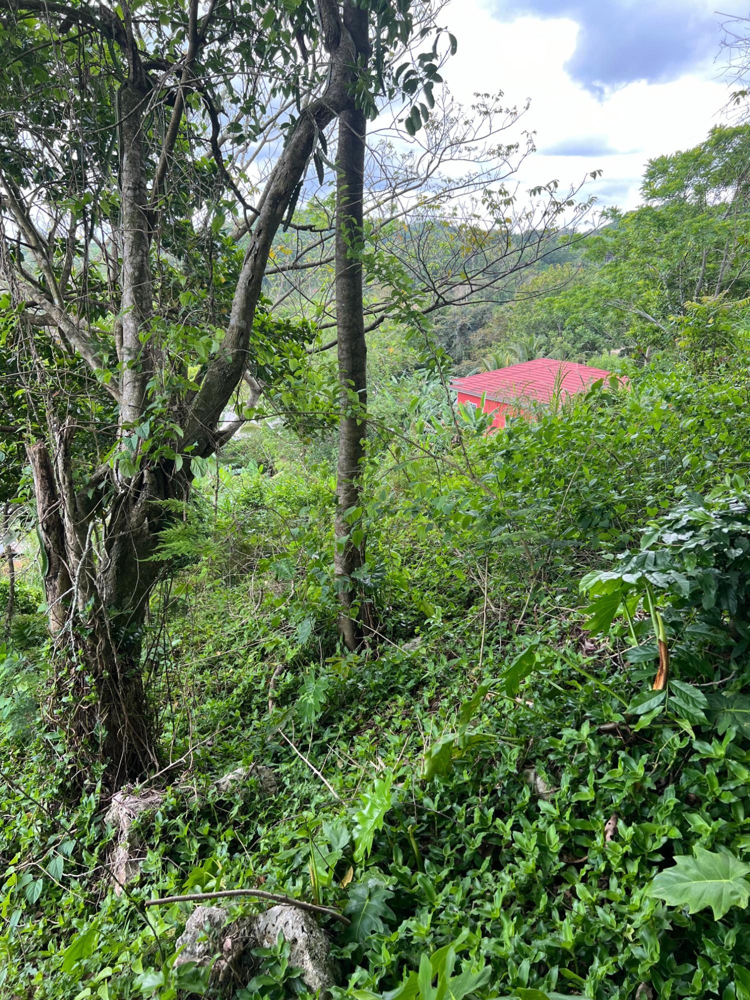 Eighth image of 30 Greys Hill, Mandeville in Mandeville, Manchester, Jamaica - property is For Sale