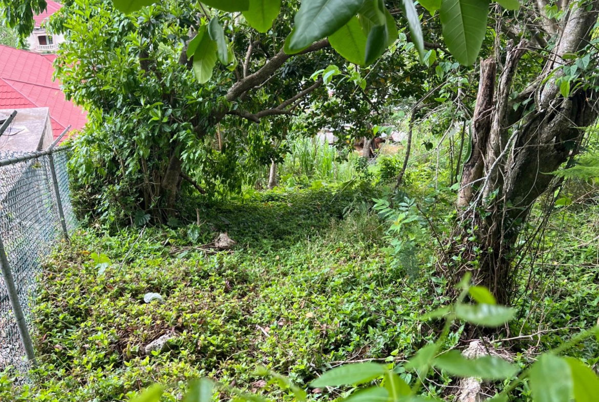 Ninth image of 30 Greys Hill, Mandeville in Mandeville, Manchester, Jamaica - property is For Sale