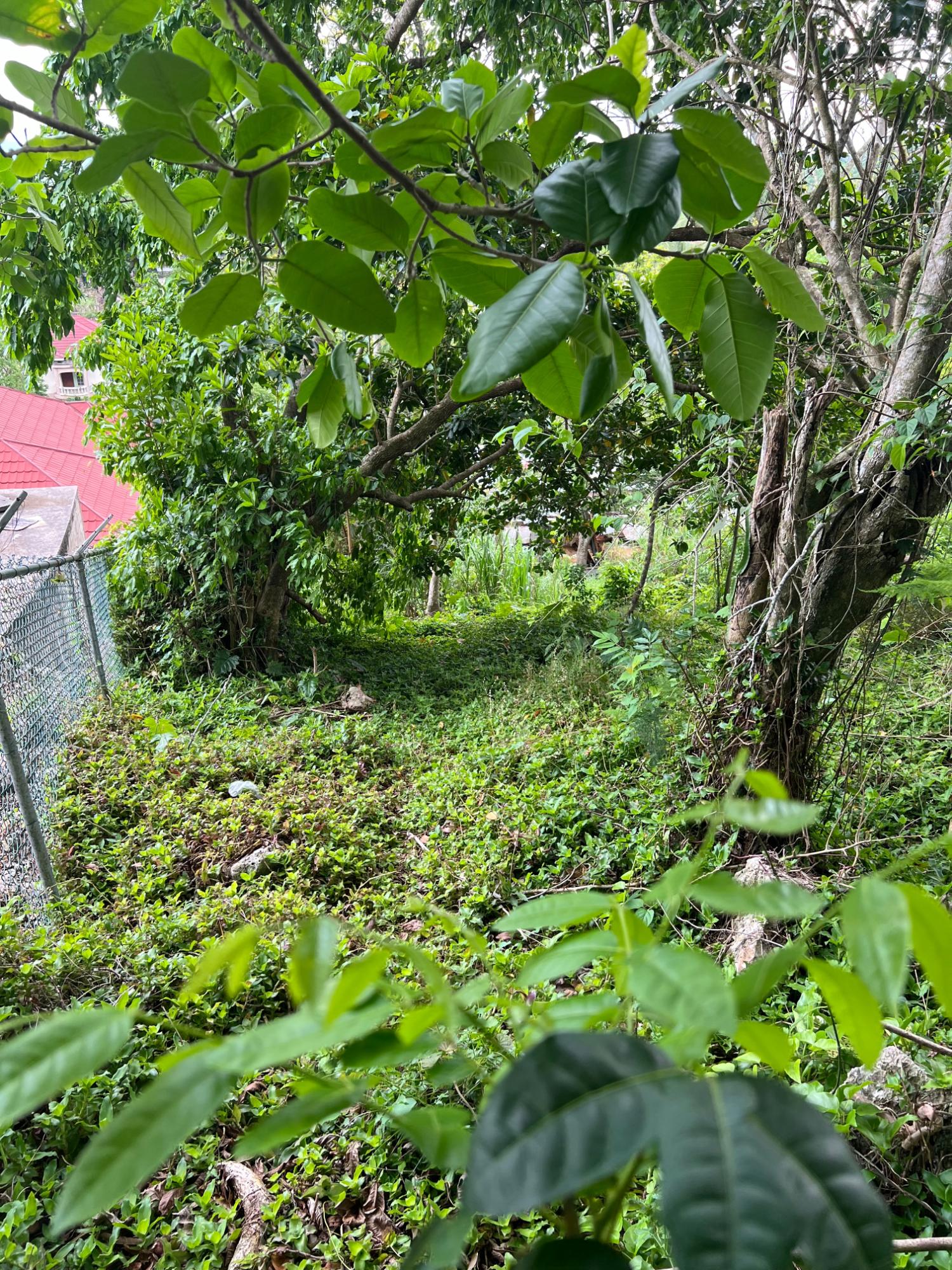 Ninth image of 30 Greys Hill, Mandeville in Mandeville, Manchester, Jamaica - property is For Sale