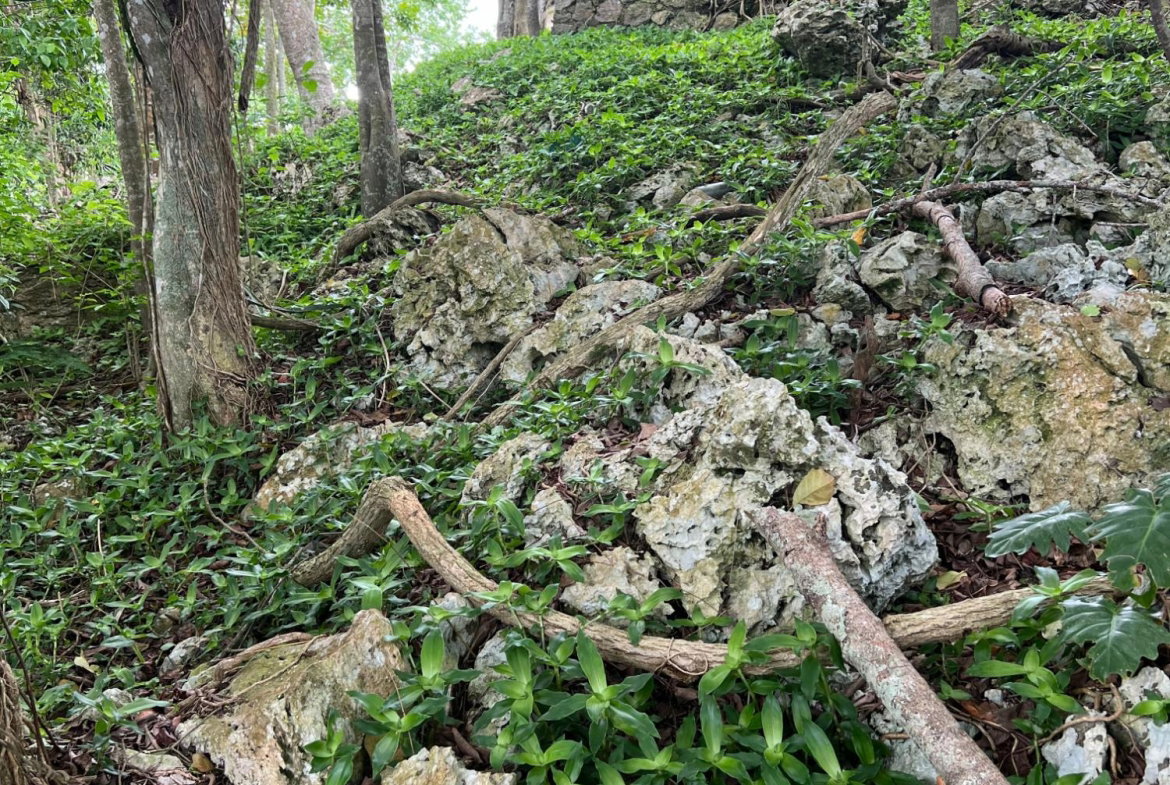 Tenth image of 30 Greys Hill, Mandeville in Mandeville, Manchester, Jamaica - property is For Sale