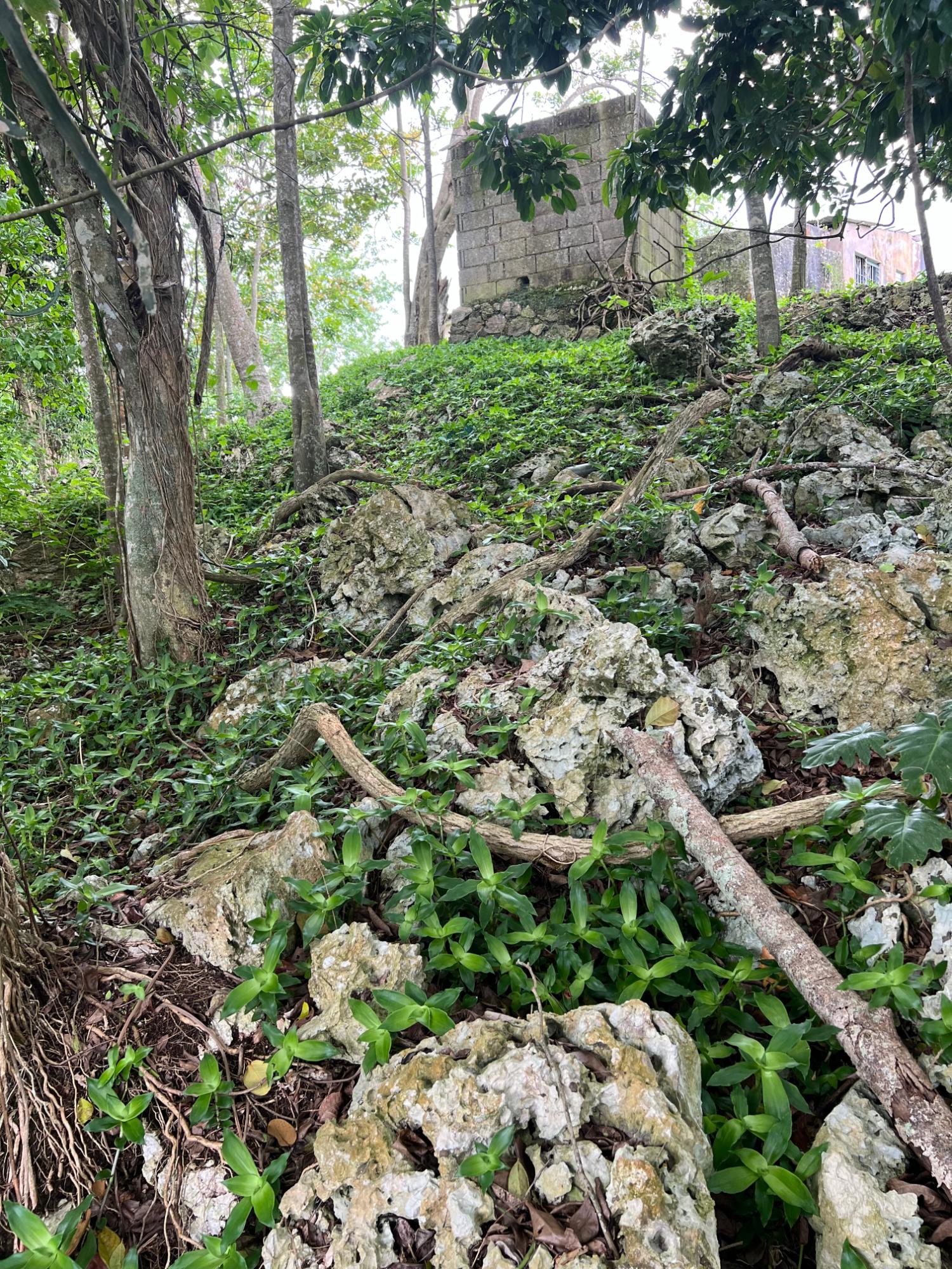 Tenth image of 30 Greys Hill, Mandeville in Mandeville, Manchester, Jamaica - property is For Sale