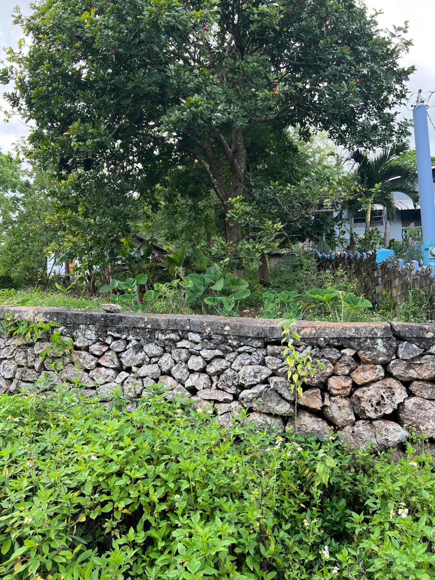 First image of 30 Greys Hill, Mandeville in Mandeville, Manchester, Jamaica - property is For Sale