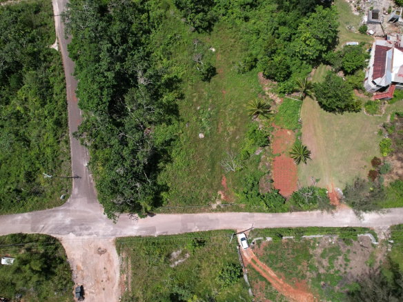 First image of Snowden, Manchester in Blenheim, Manchester, Jamaica - property is For Sale