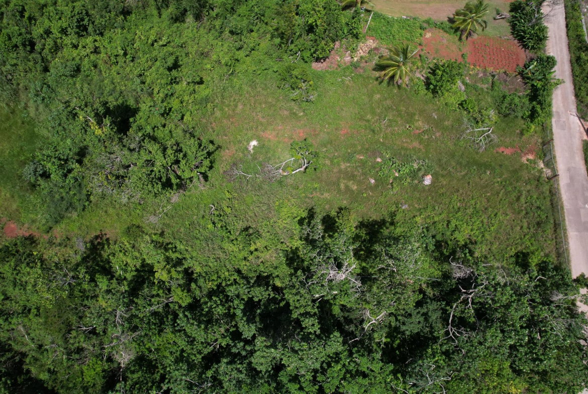 Seventh image of Snowden, Manchester in Blenheim, Manchester, Jamaica - property is For Sale