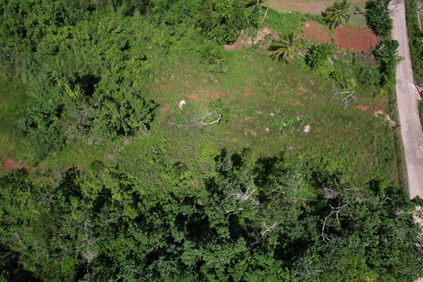 Seventh image of Snowden, Manchester in Blenheim, Manchester, Jamaica - property is For Sale