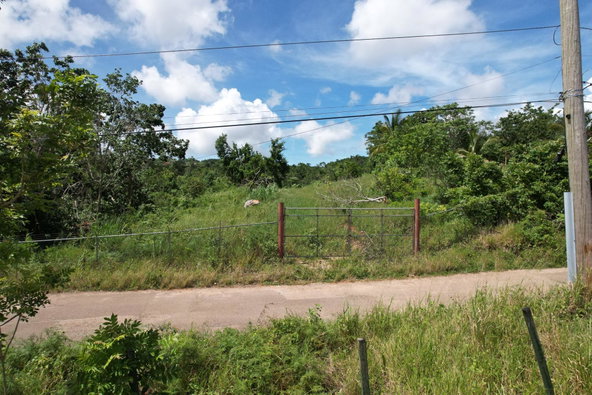 Ninth image of Snowden, Manchester in Blenheim, Manchester, Jamaica - property is For Sale
