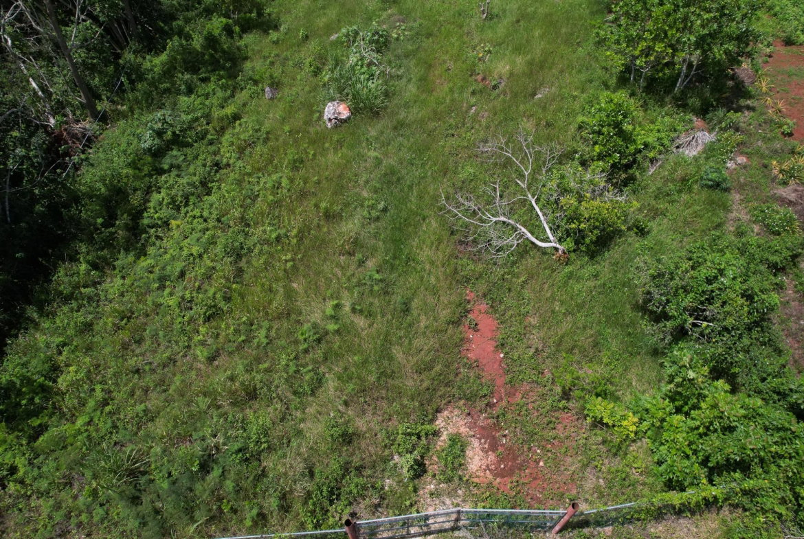 Tenth image of Snowden, Manchester in Blenheim, Manchester, Jamaica - property is For Sale
