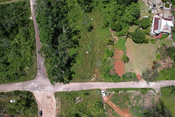 First image of Snowden, Manchester in Blenheim, Manchester, Jamaica - property is For Sale