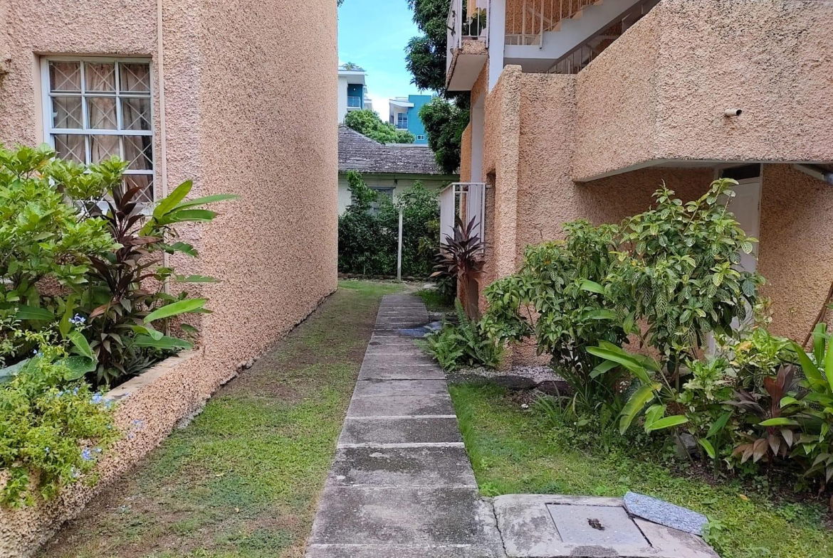 Thirteenth image of 14 Surbiton Road in Kingston 10, St. Andrew, Jamaica - property is For Sale