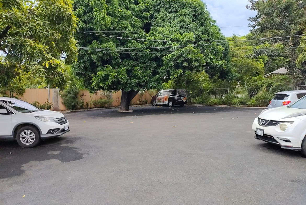 Sixth image of 14 Surbiton Road in Kingston 10, St. Andrew, Jamaica - property is For Sale