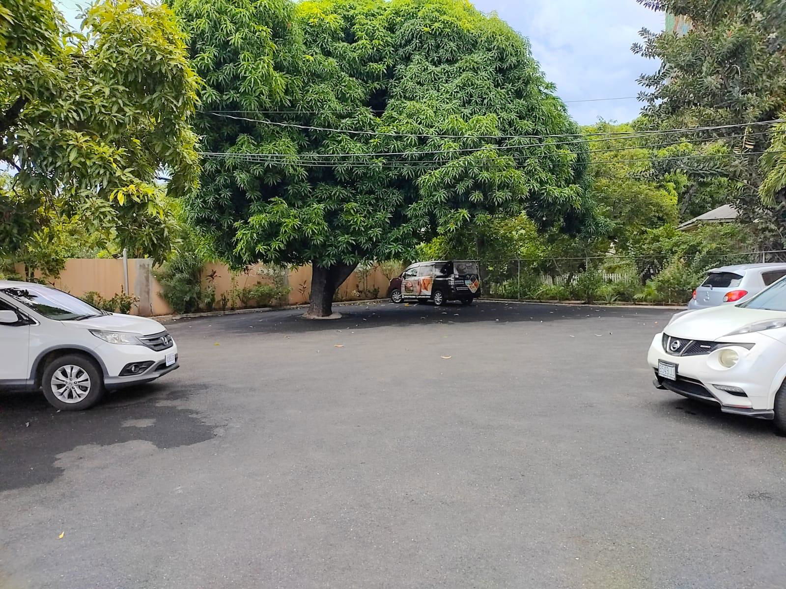 Sixth image of 14 Surbiton Road in Kingston 10, St. Andrew, Jamaica - property is For Sale