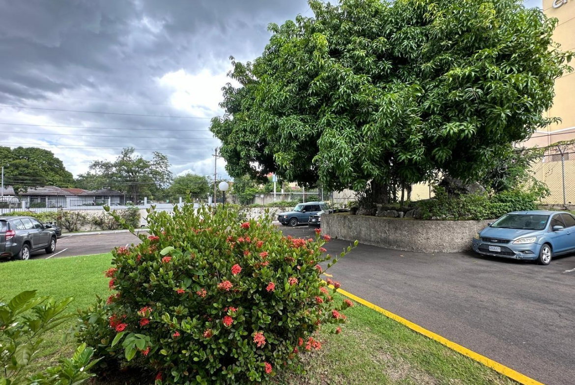 Twelfth image of B11-65-67 Hope Road in Kingston 6, St. Andrew, Jamaica - property is For Sale
