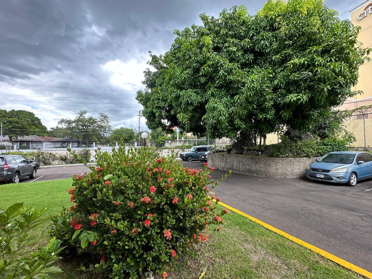 Twelfth image of B11-65-67 Hope Road in Kingston 6, St. Andrew, Jamaica - property is For Sale