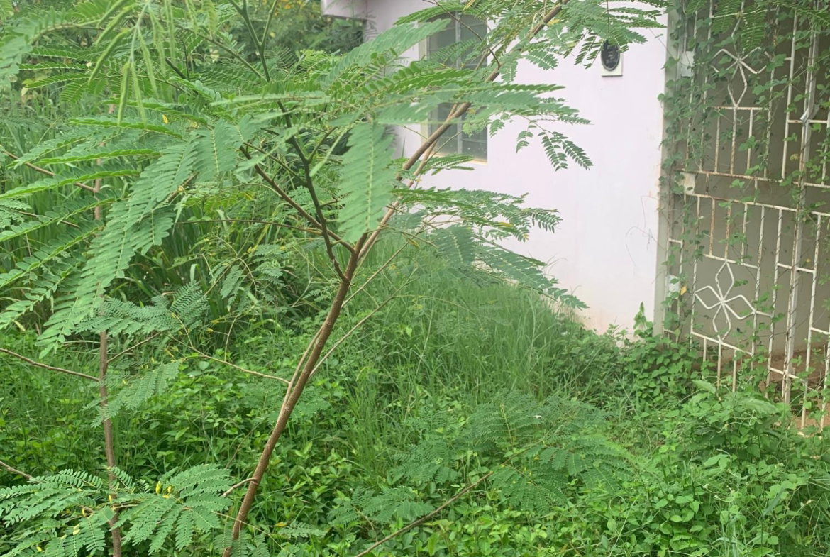 Second image of Lot 117-10 St. Rose Drive, Green Acr in Green Acres, St. Catherine, Jamaica - property is For Sale