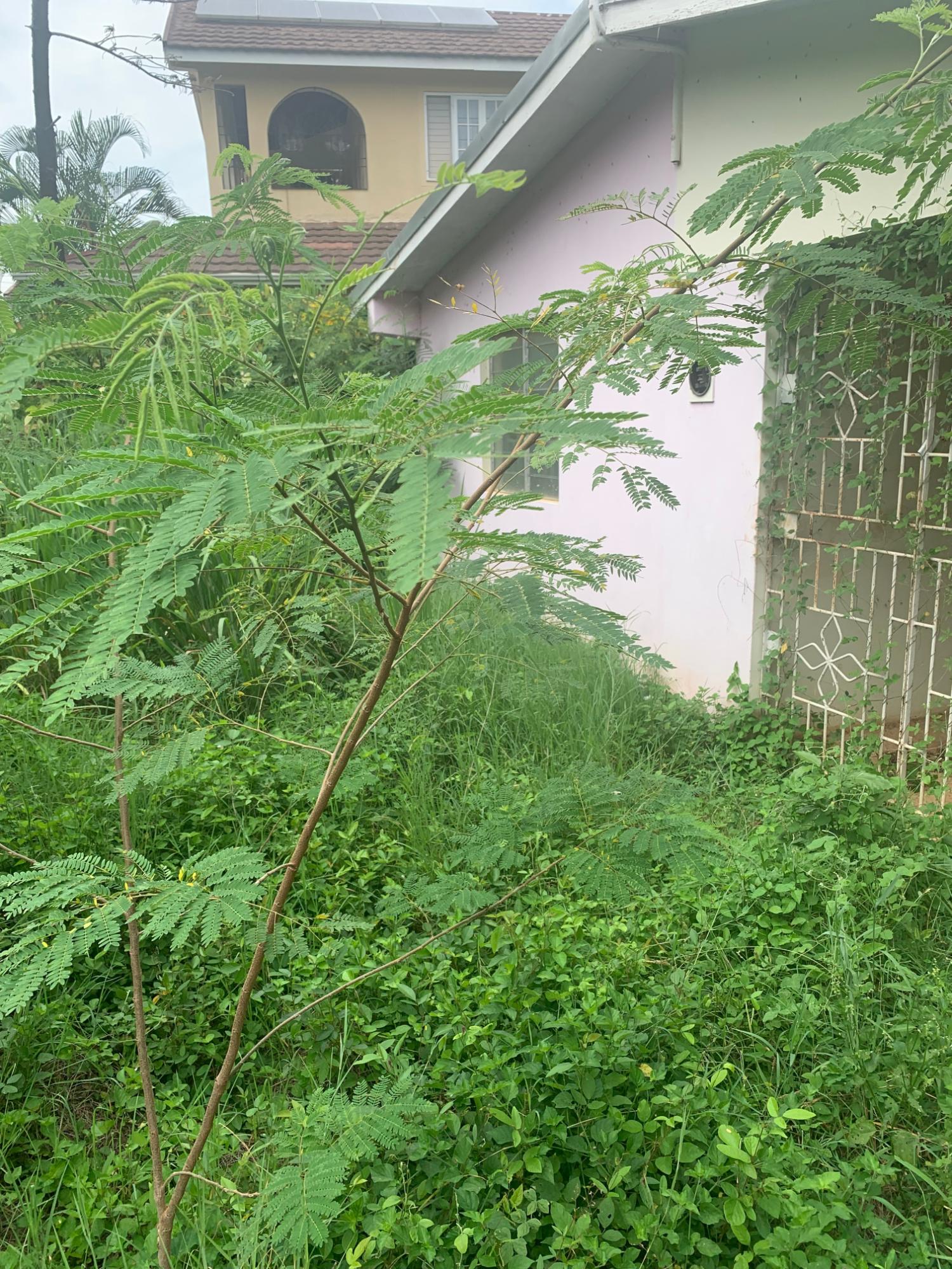 Second image of Lot 117-10 St. Rose Drive, Green Acr in Green Acres, St. Catherine, Jamaica - property is For Sale