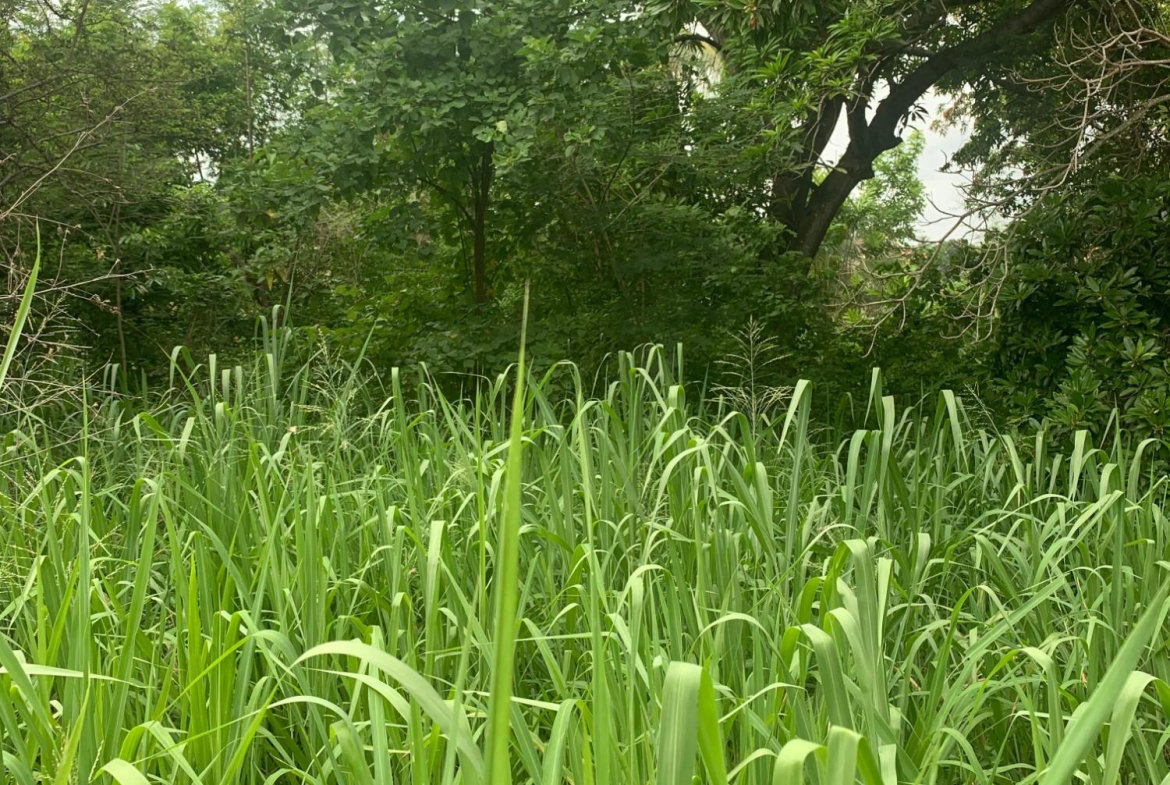 Thirteenth image of Lot 117-10 St. Rose Drive, Green Acr in Green Acres, St. Catherine, Jamaica - property is For Sale
