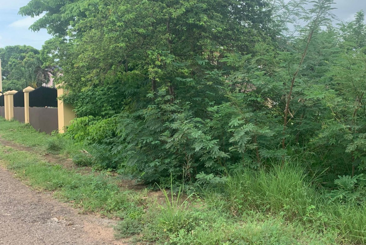 Seventeenth image of Lot 117-10 St. Rose Drive, Green Acr in Green Acres, St. Catherine, Jamaica - property is For Sale