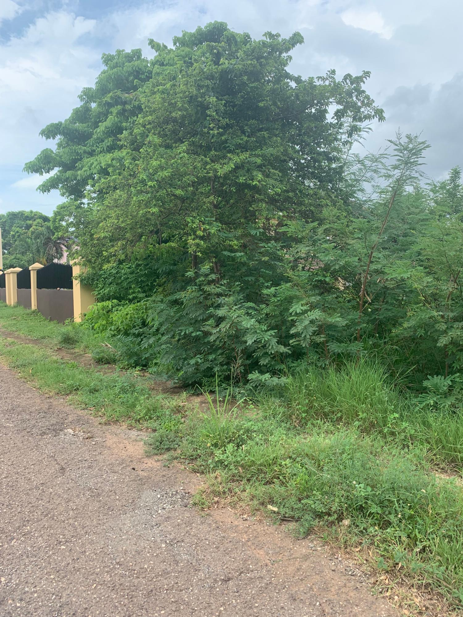 Seventeenth image of Lot 117-10 St. Rose Drive, Green Acr in Green Acres, St. Catherine, Jamaica - property is For Sale