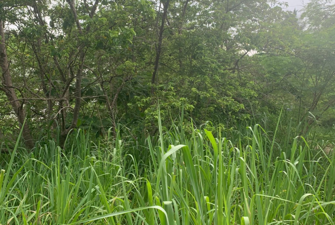 Eighteenth image of Lot 117-10 St. Rose Drive, Green Acr in Green Acres, St. Catherine, Jamaica - property is For Sale