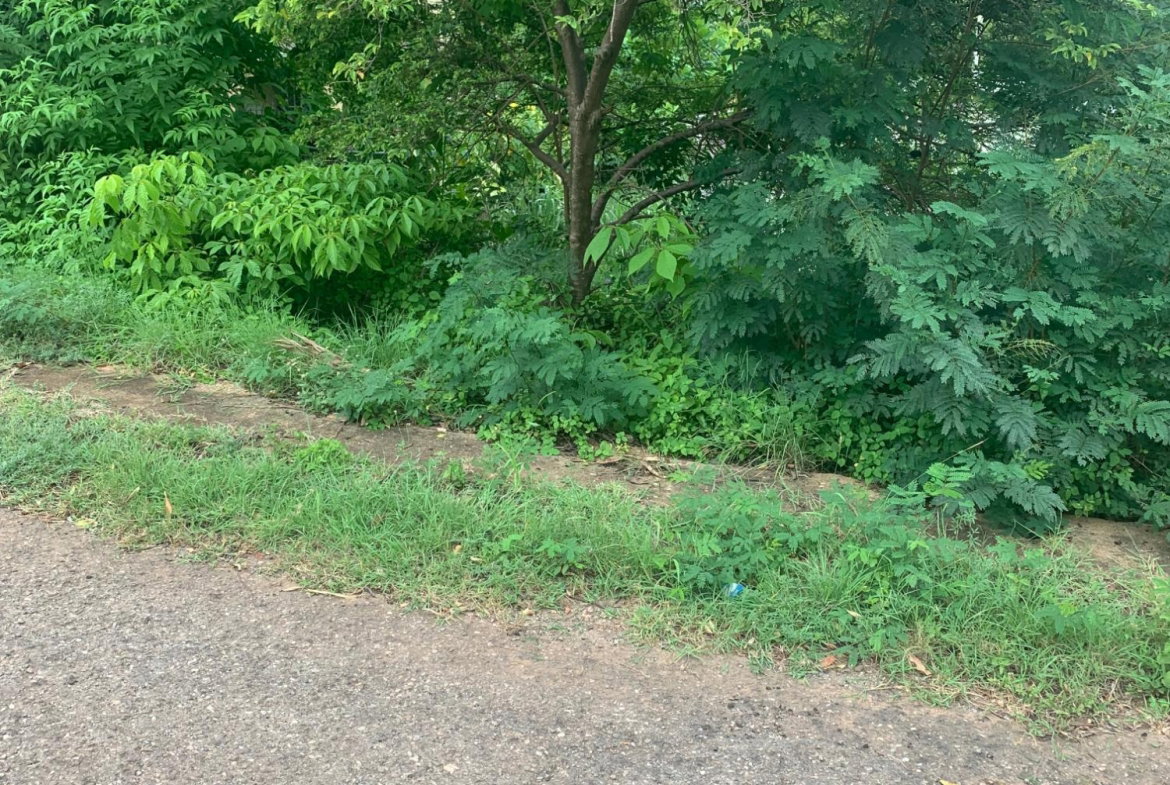 Nineteenth image of Lot 117-10 St. Rose Drive, Green Acr in Green Acres, St. Catherine, Jamaica - property is For Sale