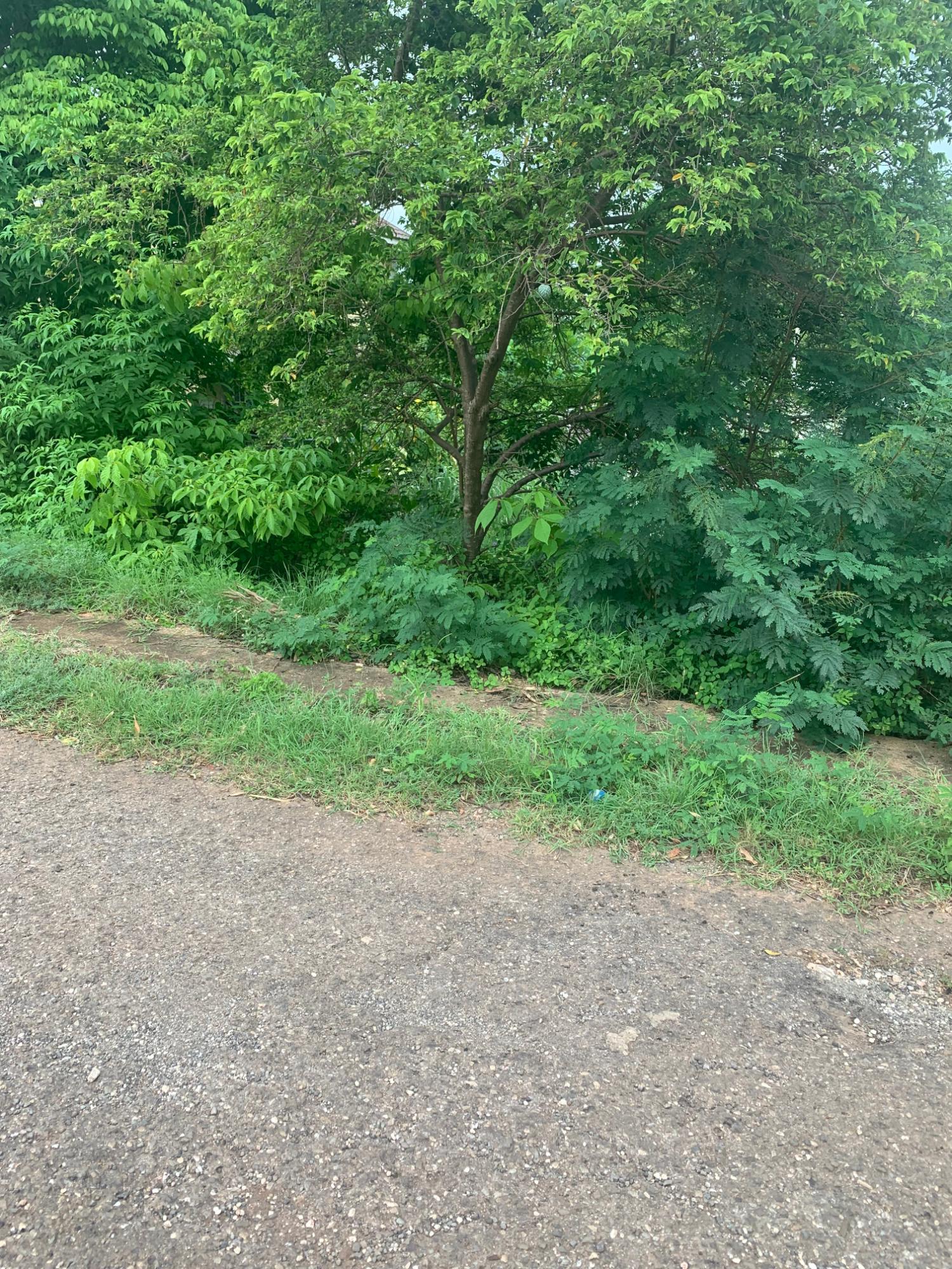 Nineteenth image of Lot 117-10 St. Rose Drive, Green Acr in Green Acres, St. Catherine, Jamaica - property is For Sale